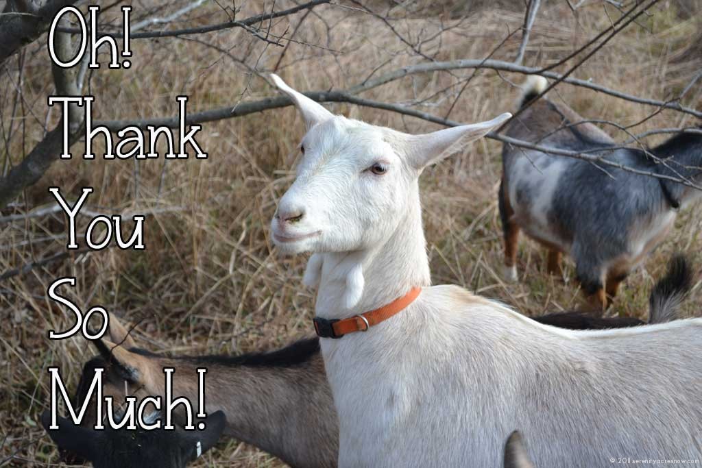 Happy New Year!