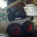 Bobcat Bobcat