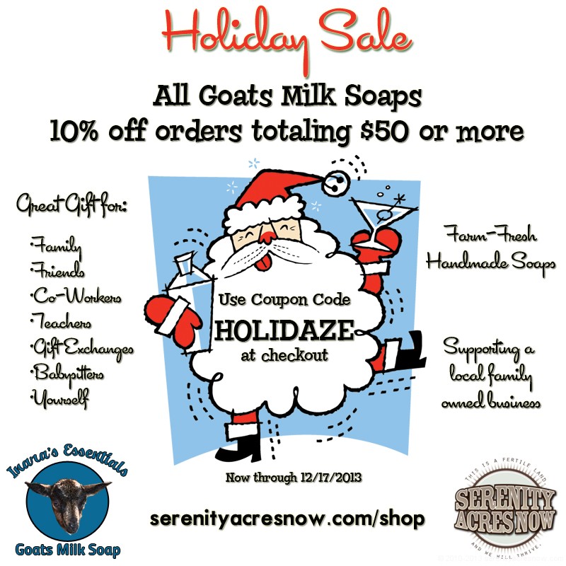 Holiday Coupon