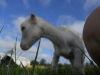 DSCN2552