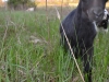 Yes, Ms. Willow again. She\'s my preemie baby, whaddya expect? ;) 