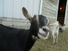 dscn2273