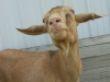 dscn2286