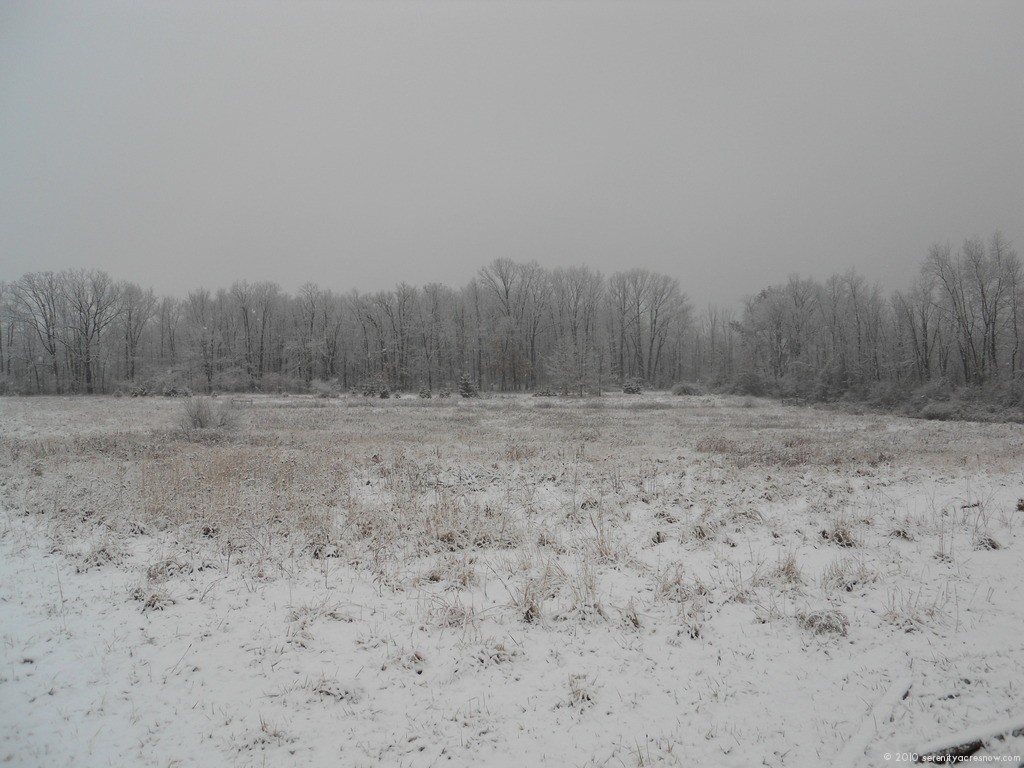 Frozen Farm