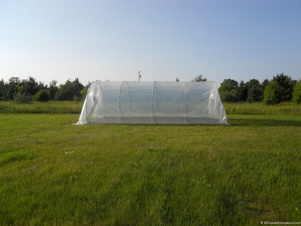 High Tunnel and New Chicken Housing