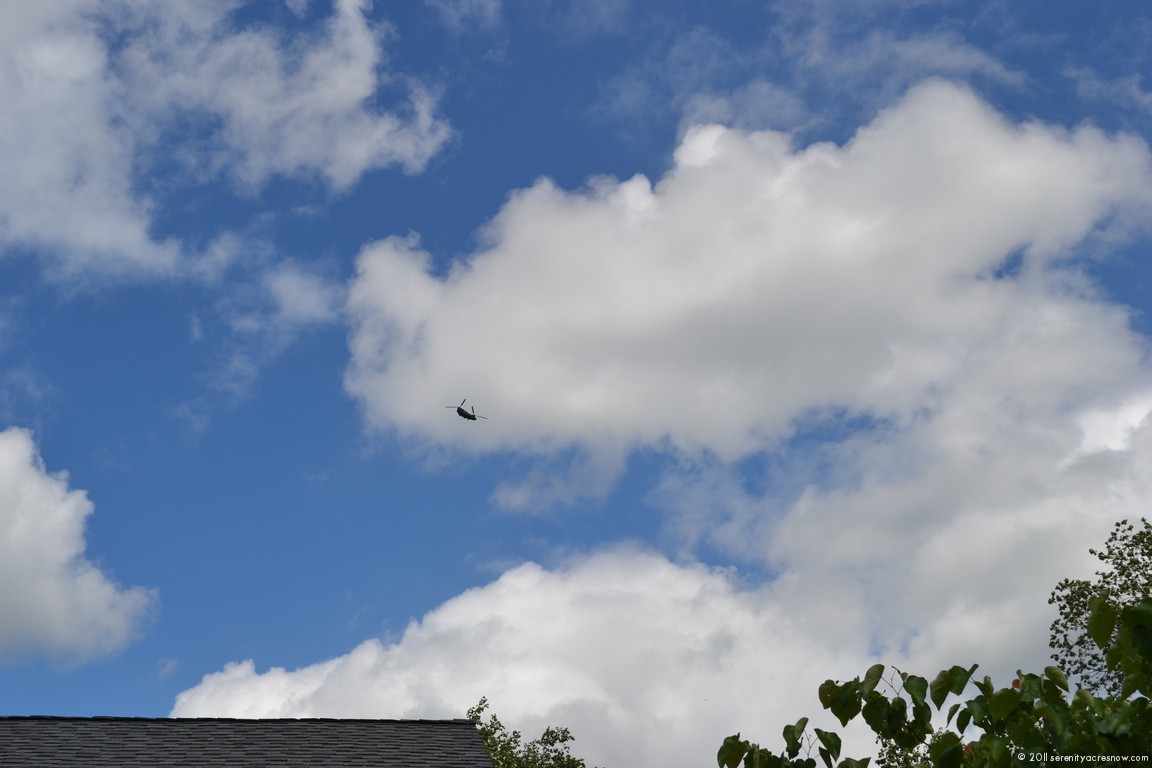 Chinook Overhead