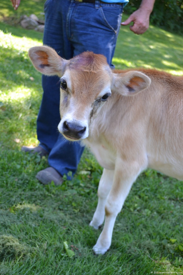 Paw Paw Farm Revisited