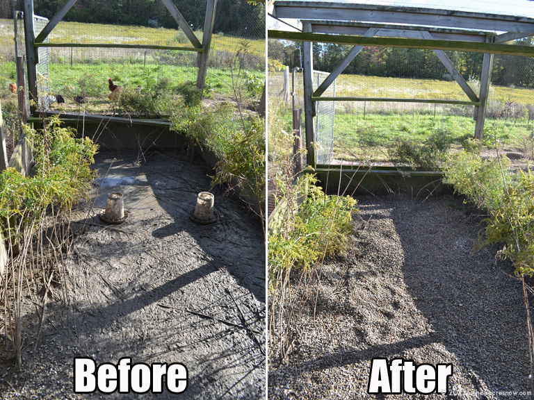 Ducks Demand Their Mud Back!