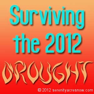 Surviving The 2012 Drought
