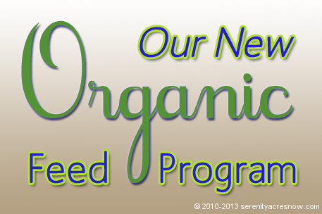Switching to Organic Feed